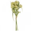 Kunstblumen Weiß Allium Deko Zierlauch 34cm 3St im Bund