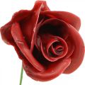 Kunstrosen Bordeaux Wachsrosen Deko Rosen Wachs Ø6cm 18 St | Floristik24.de