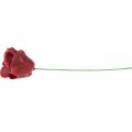 Kunstrosen Bordeaux Wachsrosen Deko Rosen Wachs Ø6cm 18 St | Floristik24.de