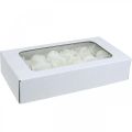 Kunstrosen Creme Wachsrosen Deko Rosen Wachs Ø6cm 18 St | Floristik24.de