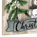 Floristik24 LED-Wandbild Schneemann „Merry Christmas“ 23×38,5cm Für Batterie