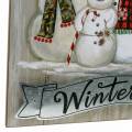 Floristik24 LED-Wandbild Schneemann „Hello Winter“ 23×38,5cm Für Batterie