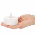 LED-XL-Teelicht Weiß Echtwachs mit Timer Warmweiß 6cm 2St | Floristik24.de