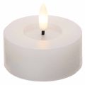 LED-XL-Teelicht Weiß Echtwachs mit Timer Warmweiß 6cm 2St | Floristik24.de