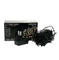 Floristik24 LED Reislichterkette 180er 13,5m schwarz/Warmweiß