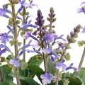 Deko-Pflanze Lavendel, Mediterraner Lavendeltopf, Kunstblume Violett