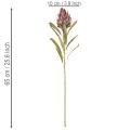 Protea Kunstblume Leucadendron 65cm 3St | Floristik24.de