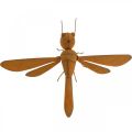 Deko-Libelle, Beetdeko, Gartenfigur Edelrost L28cm H21cm