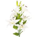 Floristik24 Lilien Kunstblume 6 weiße Blüten Realistischer Blütenzweig 66cm