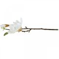 Floristik24 Magnolie Weiß Kunstblume mit Knospen am Deko Zweig H40cm