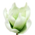 Floristik24 Magnolienblüte aus Foamstoff Weiß-Grün Ø10cm L26cm 4St