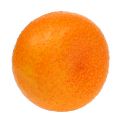 Floristik24 Mandarine Ø7cm Orange