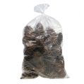 Maritima Zapfen 14/18 natur 25 St | Floristik24.de