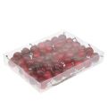 Mini Apfel am Draht Ø2,5cm 48 St | Floristik24.de