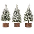 Mini Tannenbaum Holz Sockel Grün Weiß Ø8cm H18cm 3St | Floristik24.de