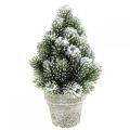 Mini Weihnachtsbaum im Topf Künstlich Beschneit Ø14cm H24cm
