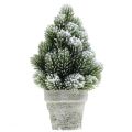 Mini Weihnachtsbaum im Topf Künstlich Beschneit Ø14cm H24cm