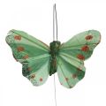 Floristik24 Mini-Schmetterling am Draht Rot, Grün 6,5cm 12St