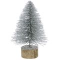 Floristik24 Weihnachtsdeko Tannenbaum Silber mit Glitzer 6St