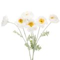 Floristik24 Kunstblume Mohn Weiß Langer Stiel 78cm 3St