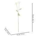 Kunstblume Mohn Weiß Langer Stiel 78cm 3St | Floristik24.de