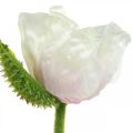 Floristik24 Künstliche Mohnblume, Seidenblume Weiß-Rosa L55/60/70cm 3er-Set