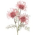 Floristik24 Kunstblume Nadelkissen Protea Blütenzweig 65cm 3St