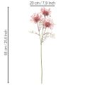 Kunstblume Nadelkissen Protea Blütenzweig 65cm 3St | Floristik24.de