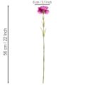 Nelke Kunstblume zweifarbig Langer Stiel 56cm Bund mit 8St | Floristik24.de