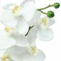 Orchidee Weiß 77cm