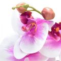 Floristik24 Orchidee Künstliche Phalaenopsis 4 Blüten Weiß Pink 72cm