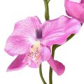 Floristik24 Orchidee Phalaenopsis künstlich 6 Blüten Lila 70cm