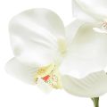 Floristik24 Orchidee Phalaenopsis künstlich 6 Blüten Weiß Creme 70cm