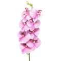 Floristik24 Orchidee Phalaenopsis künstlich 8 Blüten Rosa 104cm