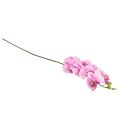 Floristik24 Orchidee Phalaenopsis künstlich 8 Blüten Rosa 104cm