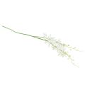 Floristik24 Orchideen künstlich Oncidium Kunstblumen Weiß 90cm