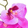 Floristik24 Künstliche Orchidee Phalaenopsis Orchidee Pink 78cm