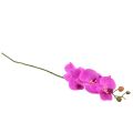 Floristik24 Künstliche Orchidee Phalaenopsis Orchidee Pink 78cm
