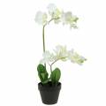 Floristik24 Orchideen Weiß im Topf Kunstpflanze H35cm
