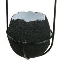 Floristik24 Osterdeko zum Hängen, Eierschale zum Bepflanzen, Frühlingsdeko Schwarz/Weiß H24cm 4St