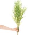 Künstlicher Palmenzweig Kunstpflanze für Arrangements 90cm | Floristik24.de
