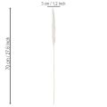 Pampasgras Trockenblumen gebleicht 70cm 15St | Floristik24.de