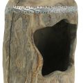 Floristik24 Deko Skulptur Paulownia Holz  Ø15cm H39cm