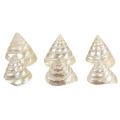Floristik24 Perlmutt Kreiselschnecke Meeresschnecken Deko 5–6cm 6 St