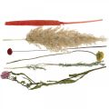 Trockenblumen Strauß mit Wiesenblumen Rosa DIY-Set H30-35cm