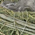 Deko Herz aus Naturgras mit Folie Einsatz 14cm 2St | Floristik24.de