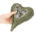 Pflanzherz aus Naturmaterial mit Folieneinsatz 22cm 2St | Floristik24.de