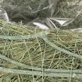 Herzschale aus Naturgras mit Folie zum Bepflanzen 38cm | Floristik24.de