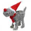 Floristik24 Hund zum Bepflanzen, Weihnachtsdeko, Pflanzkorb, Advent H30cm L29,5cm