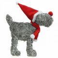 Floristik24 Hund zum Bepflanzen, Weihnachtsdeko, Pflanzkorb, Advent H30cm L29,5cm